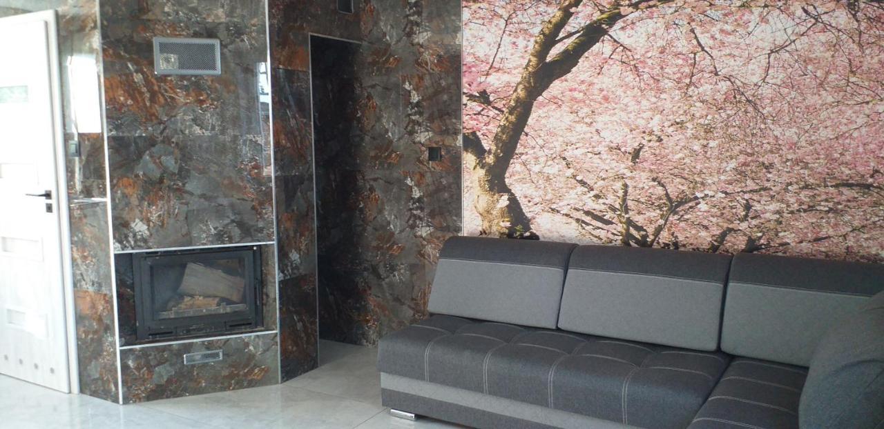 Tajger Apartamenty Polanczyk Bagian luar foto